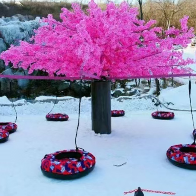 雪地轉轉